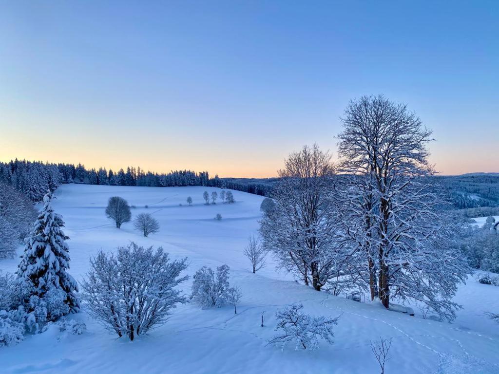 Gaestehaus Steiert Fewo Kuhbergblick Lenzkirch Bagian luar foto
