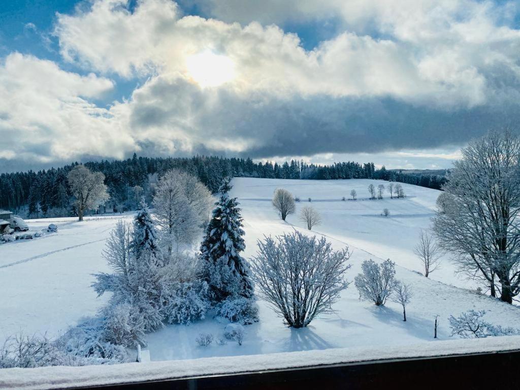 Gaestehaus Steiert Fewo Kuhbergblick Lenzkirch Bagian luar foto