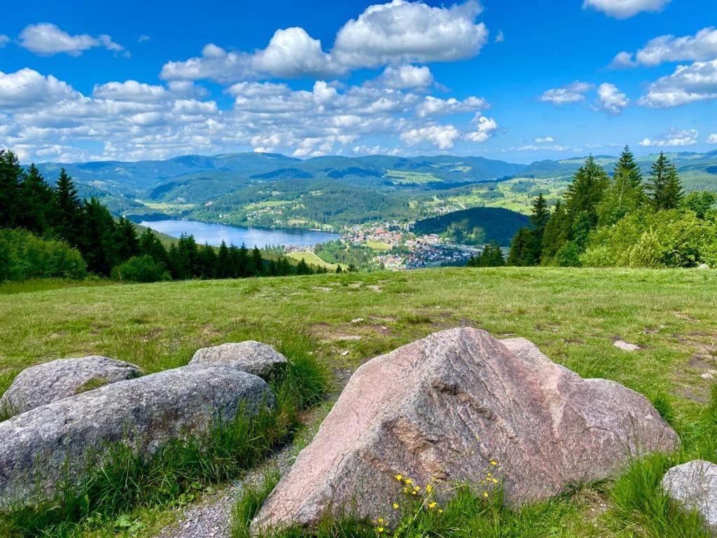Gaestehaus Steiert Fewo Kuhbergblick Lenzkirch Bagian luar foto