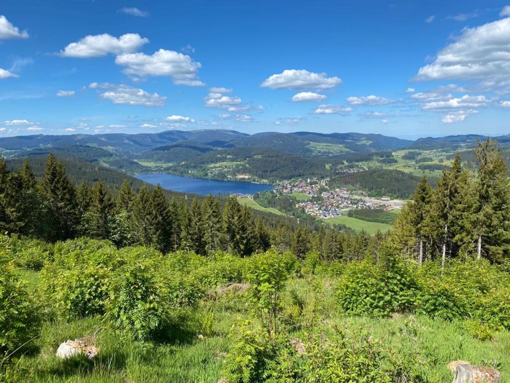 Gaestehaus Steiert Fewo Kuhbergblick Lenzkirch Bagian luar foto